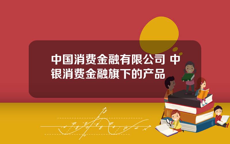 中国消费金融有限公司 中银消费金融旗下的产品